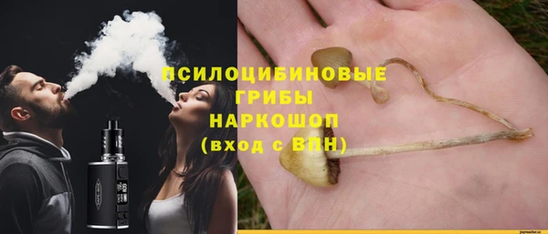 молекула духа Белоозёрский