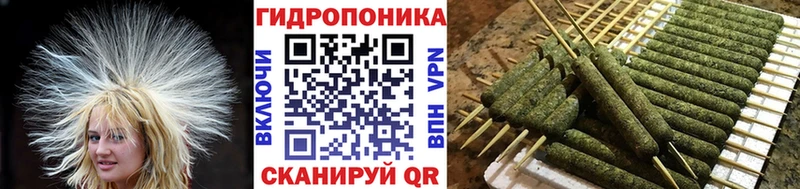 Купить где  Покачи  Бошки марихуана гибрид 